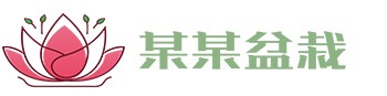 八戒体育-追求健康,你我一起成长